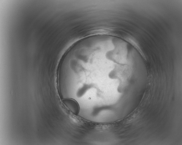 X0000063471051200602031855