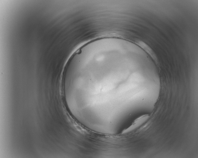 X0000063471052200602031855