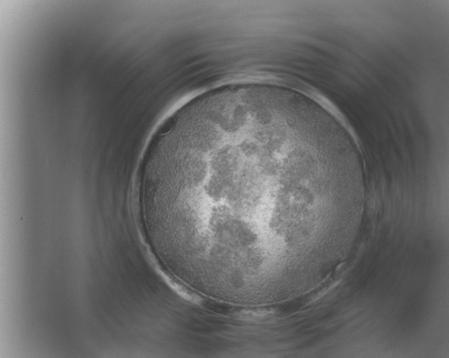 X0000063471053200602031855