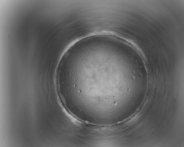 X0000063471054200602031855