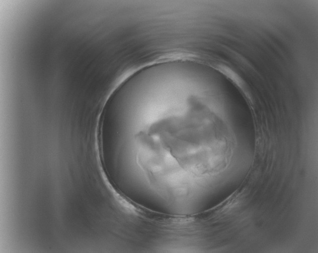 X0000063471055200602031855