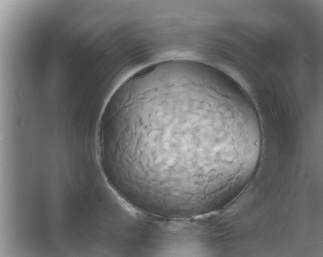 X0000063471056200602031855