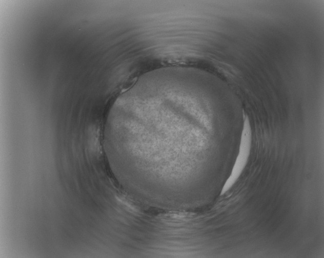 X0000063471060200602031854