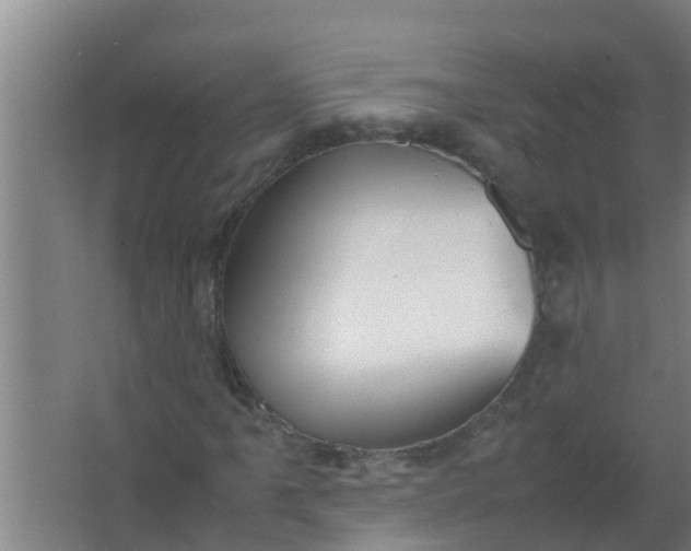 X0000063471061200602031854