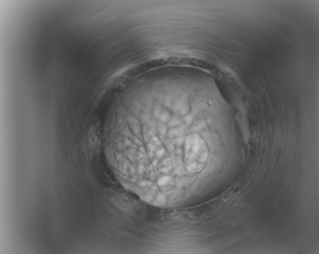 X0000063471063200602031854