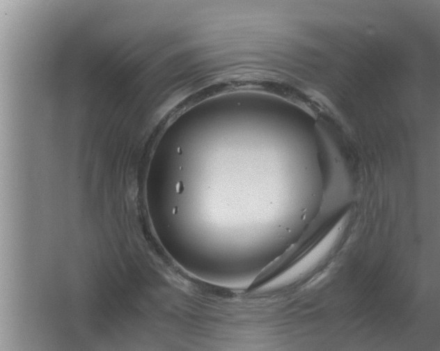 X0000063471065200602031854