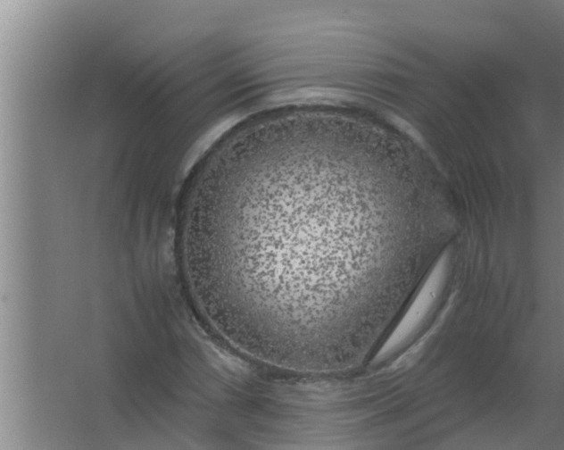 X0000063471066200602031854