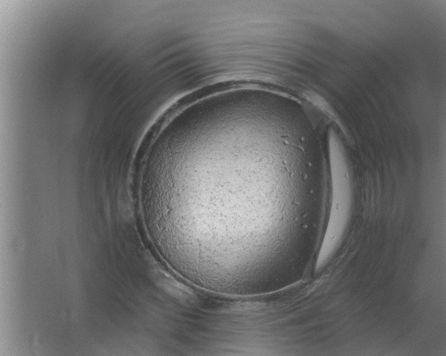 X0000063471068200602031854