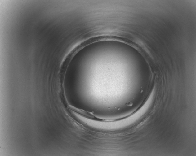 X0000063471069200602031854