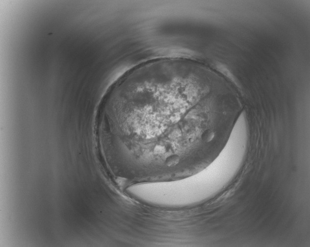 X0000063471071200602031854