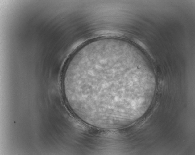 X0000063471074200602031854