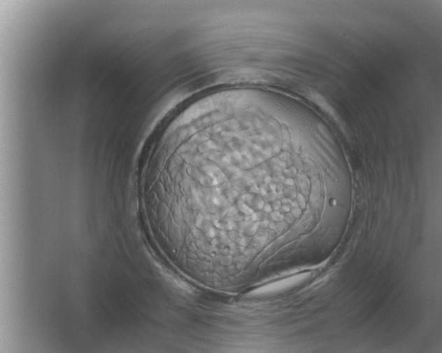 X0000063471075200602031854