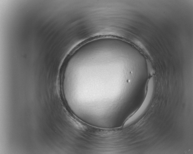 X0000063471076200602031854