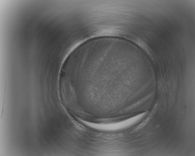 X0000063471077200602031853