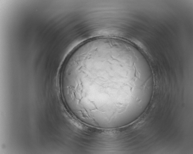 X0000063471078200602031853