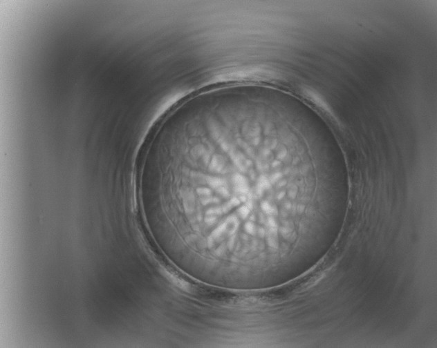 X0000063471079200602031853