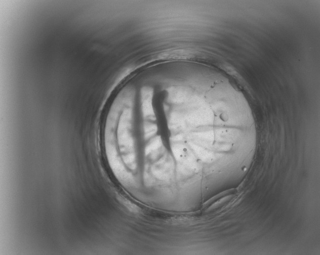 X0000063471083200602031853