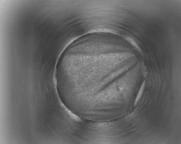 X0000063471084200602031853