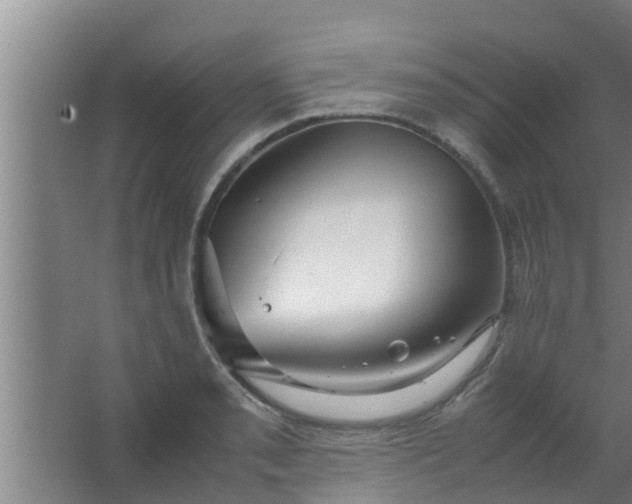 X0000063471085200602031853