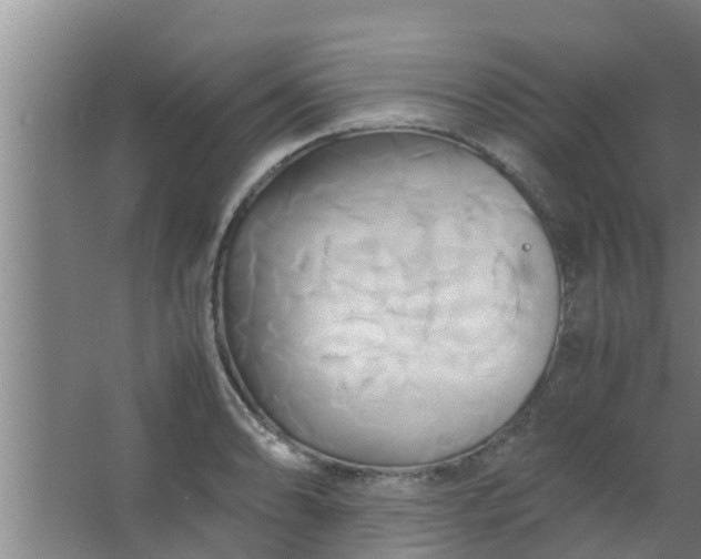 X0000063471086200602031853