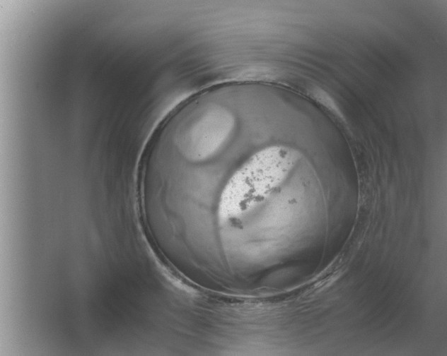 X0000063471087200602031853