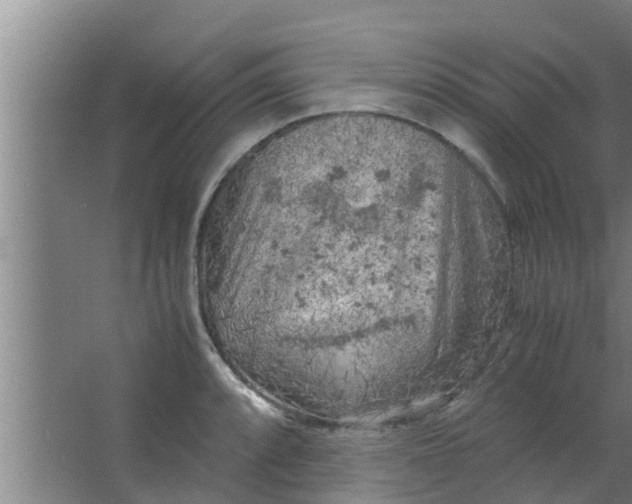 X0000063471088200602031853