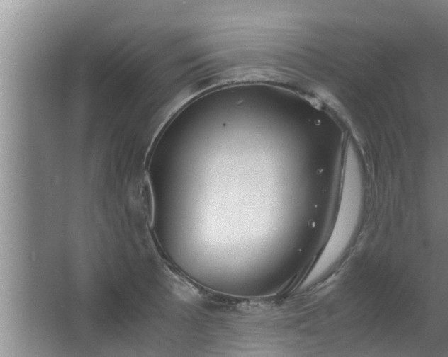 X0000063471089200602031853