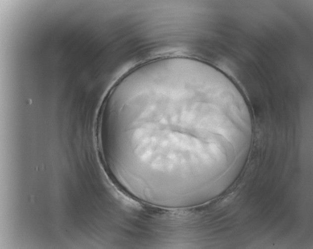 X0000063471090200602031853