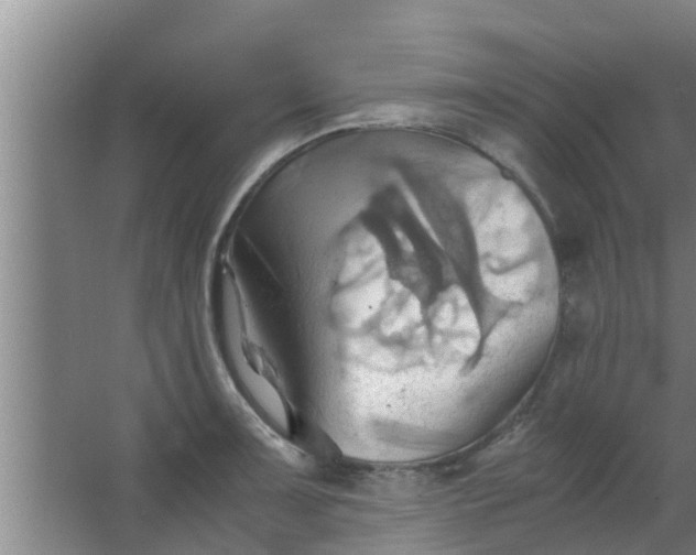 X0000063471091200602031853