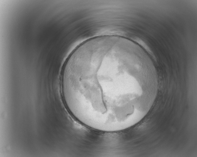 X0000063471094200602031853