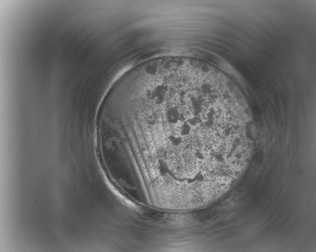 X0000063471095200602031853