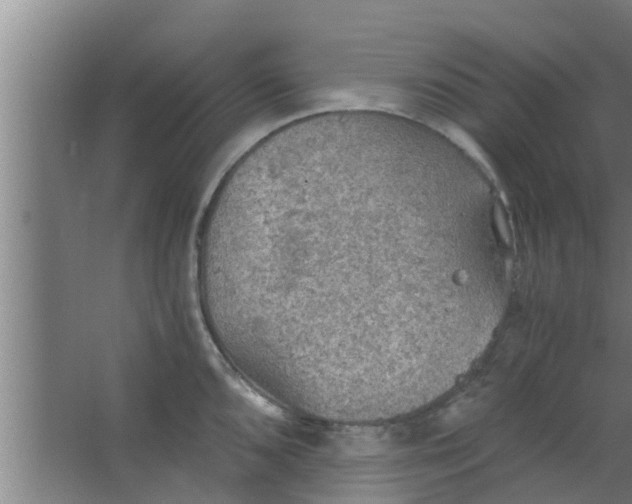 X0000063471096200602031853