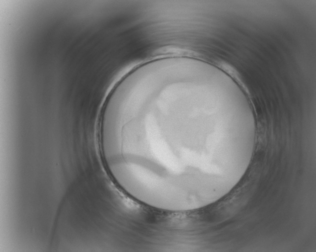 X0000063471098200602031853