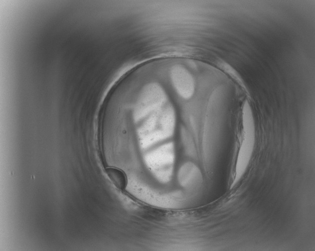 X0000063471099200602031853