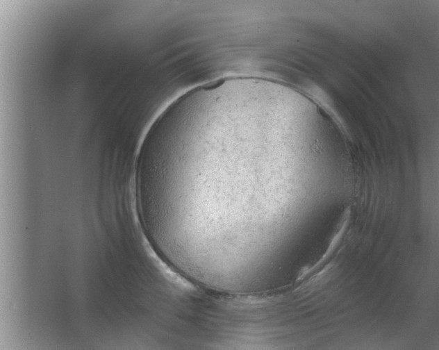 X0000063471100200602031853