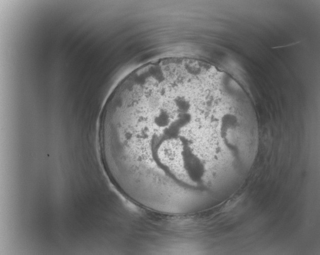 X0000063471103200602031853