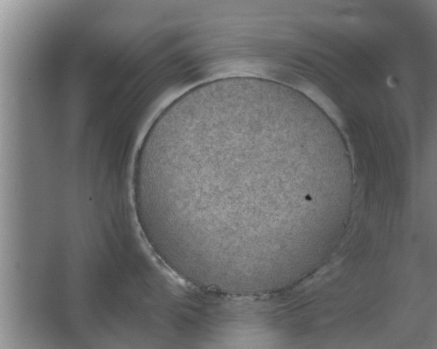 X0000063471104200602031853