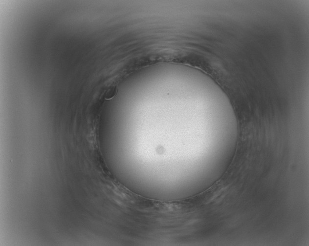 X0000063471109200602031852