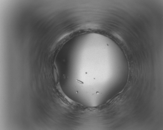 X0000063471112200602031852