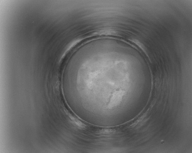 X0000063471115200602031852