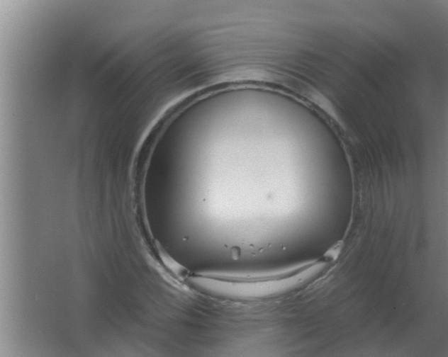 X0000063471116200602031852