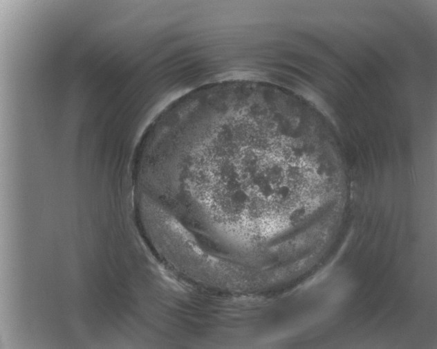 X0000063471117200602031852