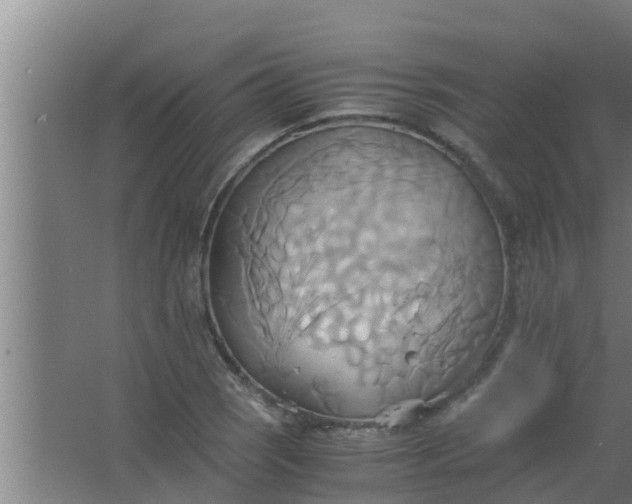 X0000063471121200602031853