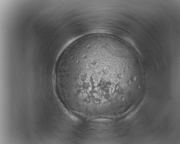 X0000063471125200602031853