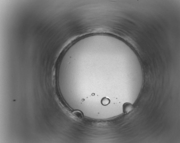 X0000063471126200602031853