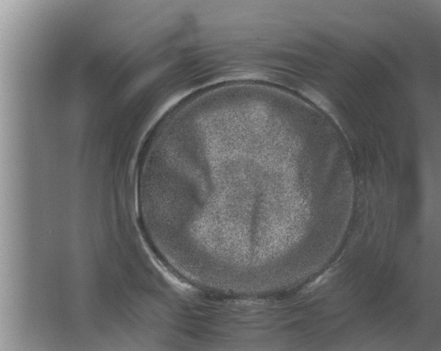 X0000063471127200602031853