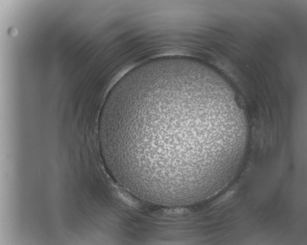 X0000063471129200602031853