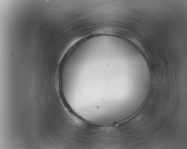 X0000063471131200602031853