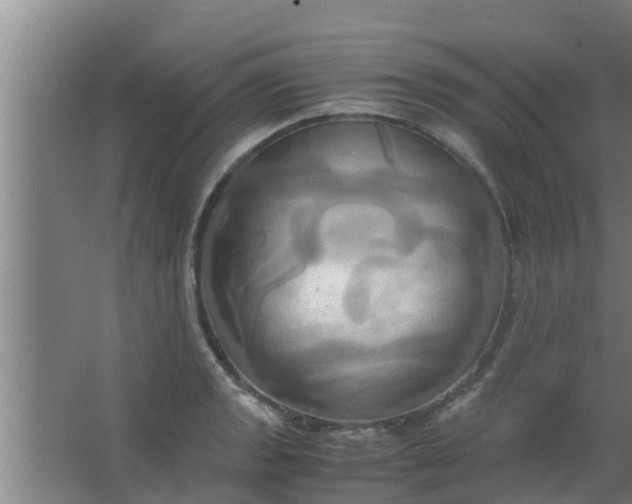 X0000063471133200602031853