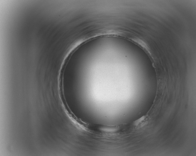 X0000063471135200602031853